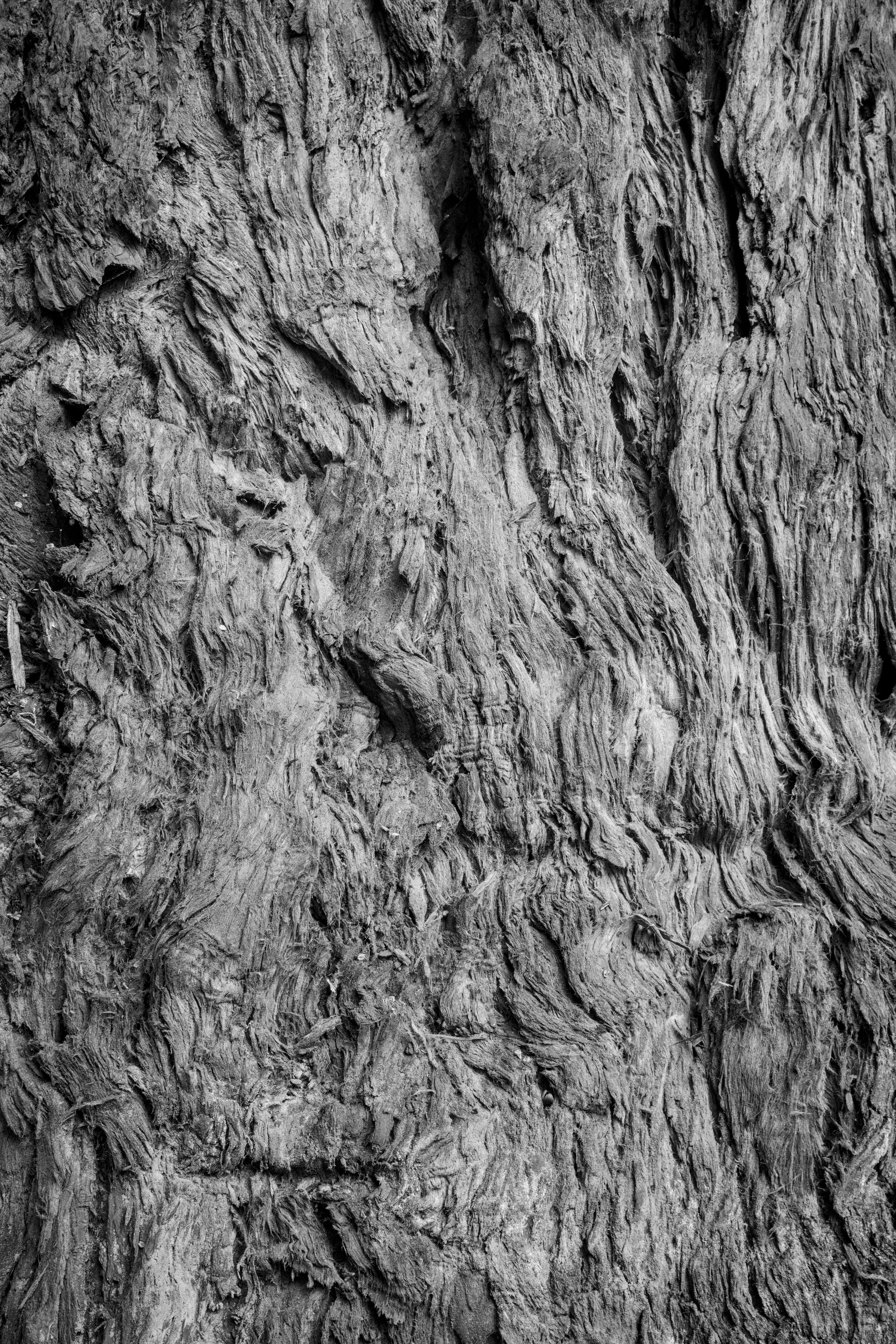 Textur Holz 4
