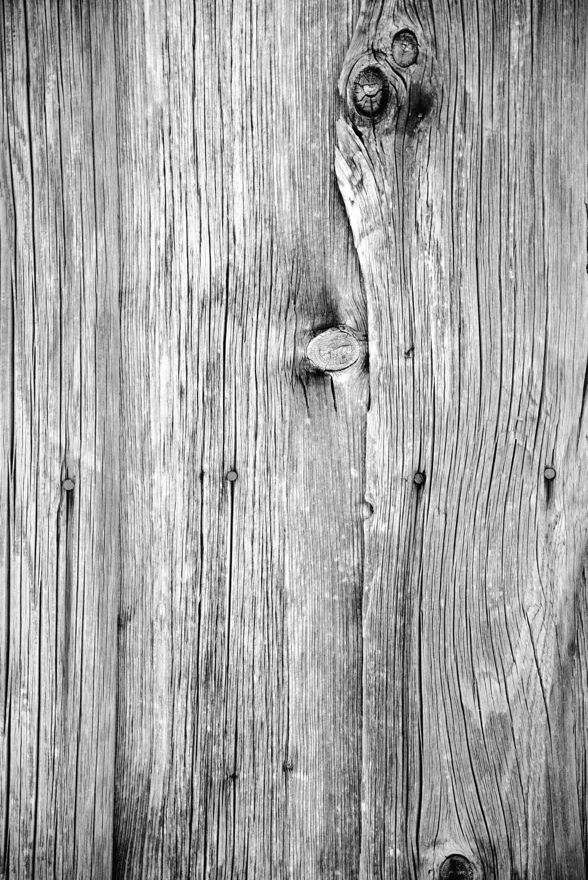Textur Holz 1